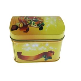 Chiny Rectangle Treasure Tin Box Metal Cookie Tin Box z pokrywką Walmart Cookie Tin Box dostawca